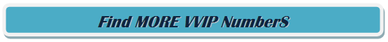 VVipPlateMaster